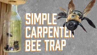 How to kill carpenter bees