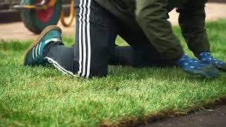 Наша компания EVERGREEN. Ландшафтный дизайн и озеленение. Воронеж. Рулонный газон.