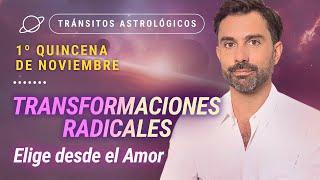  TRANSFORMACIONES RADICALES. Elige desde el Amor ️ - Tránsitos de la 1ra Quincena de Noviembre