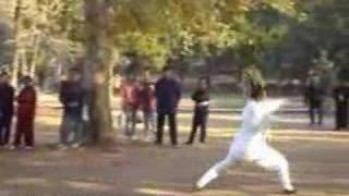 Chinese Kungfu from Wudang - Longhua Quan, Dragon Form - Master Chen Shixing