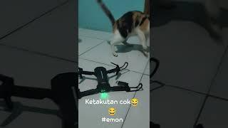 si mon ketakutan sama drone