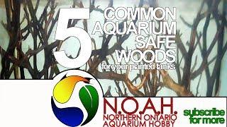 5 Common Aquarium Safe Woods for Your Planted Tank  Manzanita Shipment