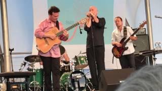 "Dans Mon Ile" -- Olivier Ker Ourio & Sylvain Luc, Paris Jazz Festival, June 17, 2017