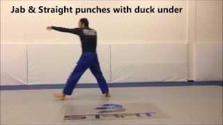 26 brazilian jiu-jitsu drills in less than 2 minutes | Rafael Lima, WORLD CHAMPION