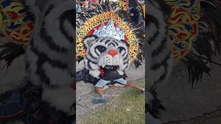 Barongan Abu2 Dapat Mangsa #shorts