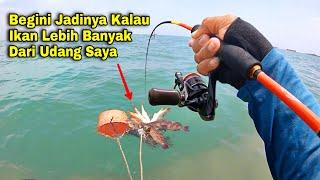 NGERI BANGET...‼️Dibikin Gak Percaya Sama Ikan Disini, Udang Se Ember Diborong Habis Tak Bersisa