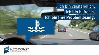 Wasserpumpen Grundlagen - Motorservice Group