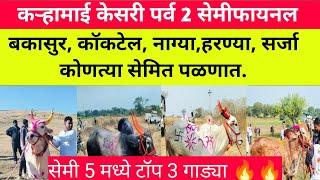 कऱ्हामाई केसरी पर्व 2 सेमीफायनल लडती #bailgada