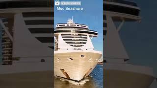 Msc Seashore bt drone fabiano