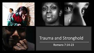 THE REALITY OF TRAUMA (the triune brain)