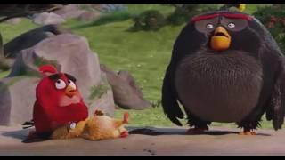 Angry Birds - Piss in the water