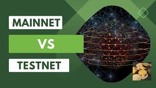 Mainnet Vs  Testnet Environments Explained