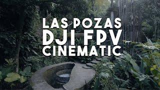 DJI FPV CINEMATIC VIDEO 4k 60fps - LAS POZAS XILITLA (Normal Mode)