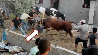 أغرب اللحظات التي صورتها الكاميرات  لن تصدق هروب 