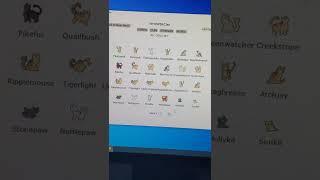warrior cats clan gen game :')
