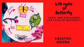 Butterfly life cycle craft and few lines in school# Butterfly cycle Craft# 2023@Creative Adeeba