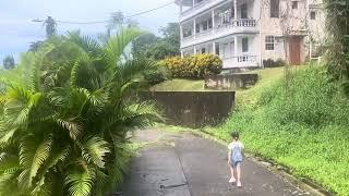 First day out in Dominica