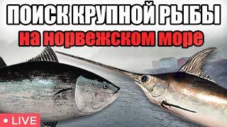 ЕСТЬ ЛИ КЛЁВ В ТРОЛЛИНГ НА НОРВЕЖСКОМ МОРЕ ?  • РР4 СТРИМ • РОЗЫГРЫШИ • РУССКАЯ РЫБАЛКА 4