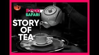 STORY OF TEA | The Fascinating History Of Tea in India | IFN Food Safari #31DaysofChai