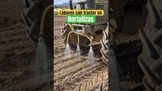 Hortalizas #agrolife #hortalizas #campoagrotv #agrotv #farm #farmer #cultivos #cultivos #tractor