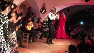Flamenco Cordobes