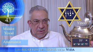 Kabbalah: Los secretos del árbol de la vida - clase 43