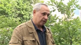 Сертоловский Сквер (Владимир Марченко)