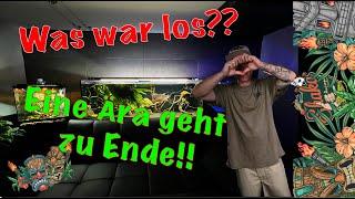 Eine Ära geht zu Ende!! Was war Los? Wie gehts weiter? YouTube ,Aquarien, Meerwasser, Terrarium