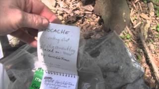 I Accidentally Found A Geocache While Mushroom Hunting