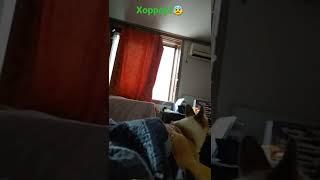 ХОРРОР ХАГГИ ВАГГИ!