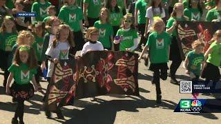 What to know about the St. Patrick’s Day Parade and Festival in Old Sacramento