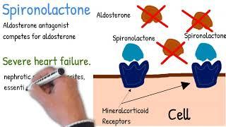 Spironolactone - Mechanism of action, use and side effects, simply explained
