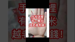 手相這裡一顆米，越老越有錢！