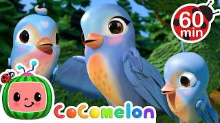 The Five Little Blue Birds! | CoComelon | Animals for Kids | Sing Along | Learn about Animals