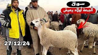 اليوم من سوق الجمعة أولاد يعيش جهة بني ملال 27/12/2024 مع تمن حولي و النعجة و حولية 