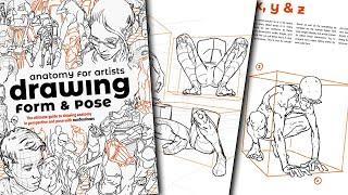 Anatomy for Artists! Drawing Form & Pose by Tomfoxdraws Ultimate Guide for Anatomy in Perspective
