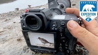 BIRD PHOTOGRAPHY | NIKON Z9 on Svalbard - Ep.4