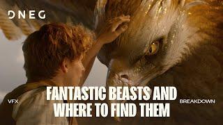 Fantastic Beasts and Where to Find Them | VFX Breakdown | DNEG