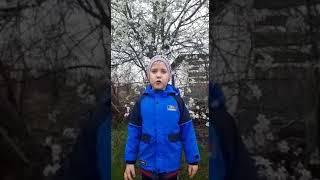 #ИсторияРоссиивстихах#