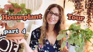 Houseplant Tour Summer 2023 | Part Four: My Bedroom Plants | Hoya, Syngonium, Succulents, and more!