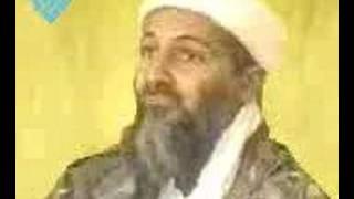 bin laden