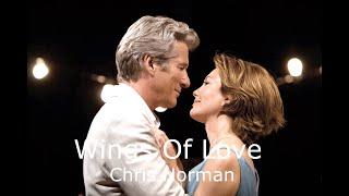 Wings of Love - Chris Norman (Richard Gere & Diane Lane) Lyrics & Traduzione in Italiano