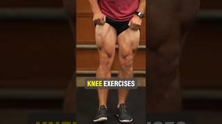 Knee Strengthening Exercises (Rehab & Training) #shorts