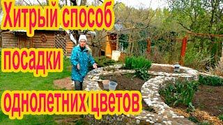 Хитрый способ  посадки однолетних цветов