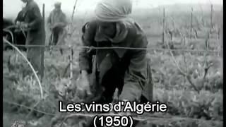 Les vins d'Algérie (1950)