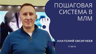 Пошаговая система в #МЛМ    Система Бизнеса  Анатолий Евсигнеев