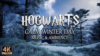 A Calm Winter Day at Hogwarts ️ | 4K Harry Potter Music & Ambience