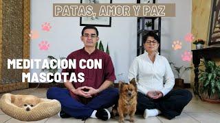 Meditación con MASCOTAS: Patas, Amor y Paz