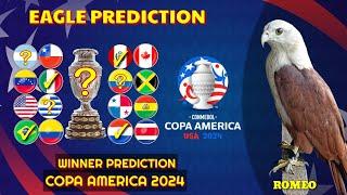 Copa America 2024 Winner Prediction | Eagle Prediction