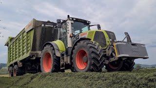 Gras häckseln mit Fendt Katana 65 & Fendt 828 & Class Axion 850 (Sound)